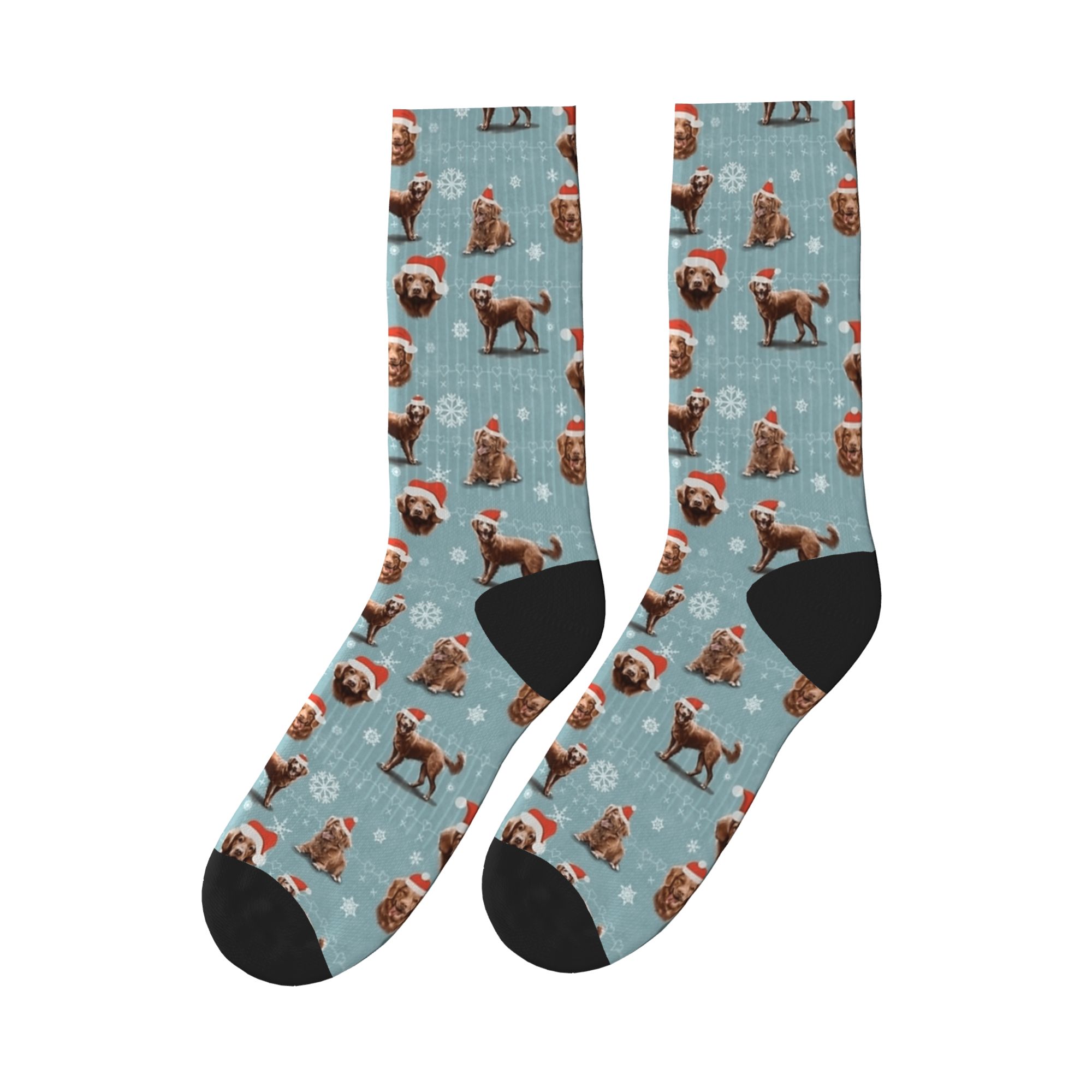 クリスマスノバスコシアダックトリーバー犬ソックスグラフィック - Men'S Fashion Nova のレビューと価格